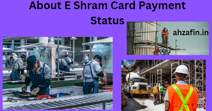 About E Shram Card Payment Status