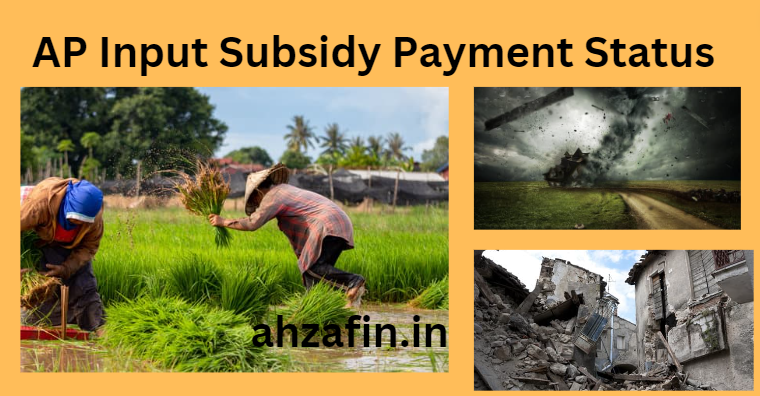 AP Input Subsidy Payment Status