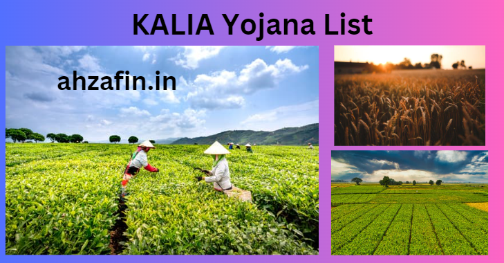 KALIA Yojana List