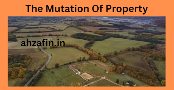 The Mutation Of Property