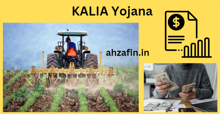 KALIA Yojana