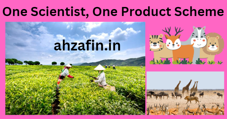 One Scientist, One Product Scheme